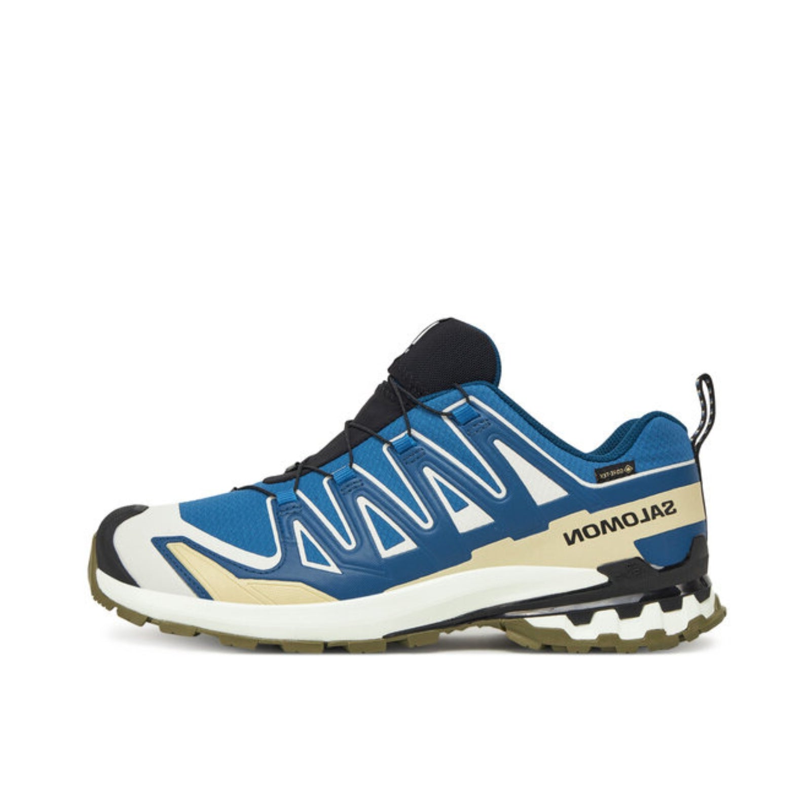 Salomon XA Pro 3D v9 GTX